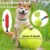 Pet Toys